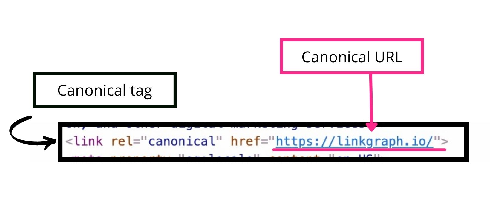 What Are Canonical Tags And When To Use Them Linkgraph