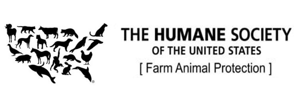 organizations we support, h society