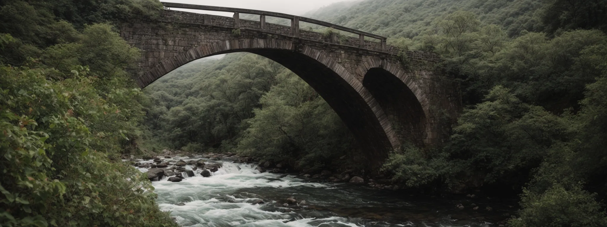 a single, sturdy bridge arching gracefully over a tumultuous river, guiding travelers safely to the opposite shore.