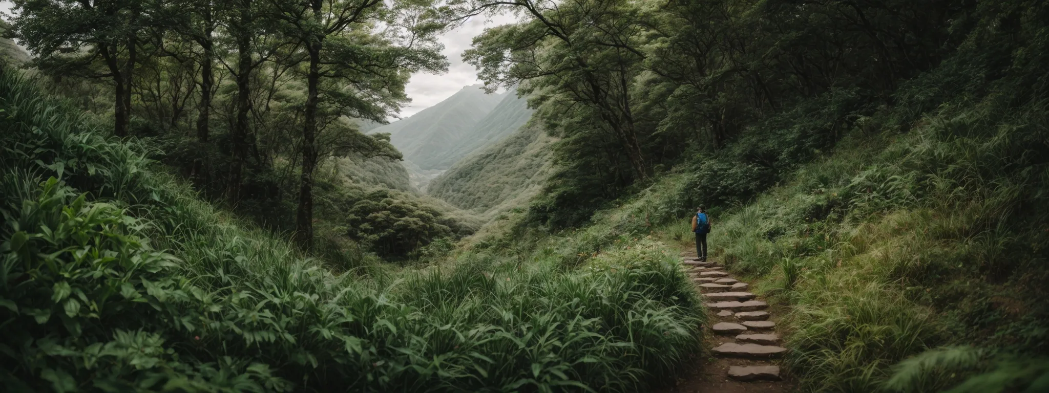 a person standing at the beginning of a winding path that leads through a lush forest towards a distant mountaintop representing the ascend to seo mastery.