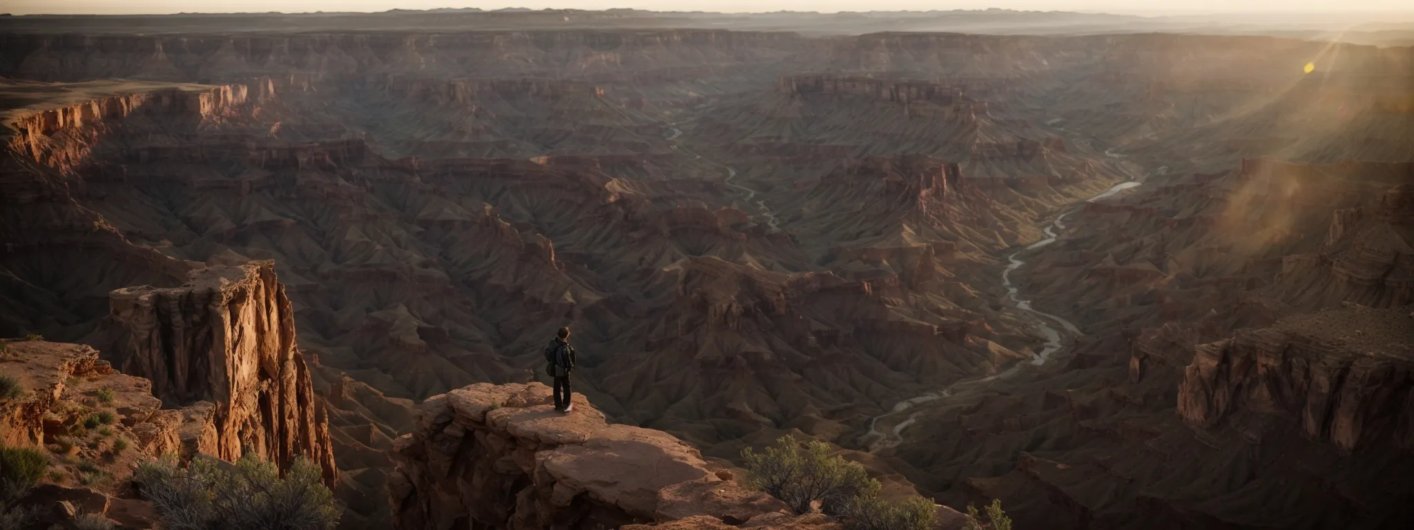 a traveler stands at a scenic overlook, gazing out over a vast canyon bathed in the golden light of the setting sun.