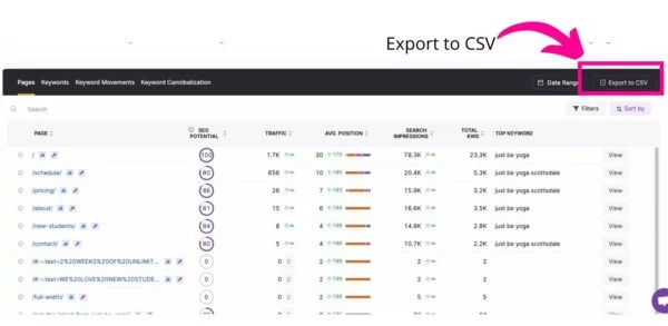 Turn CSV or Spreadsheet SEO Reports into PDFs