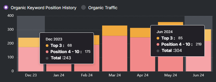 Bar chart illustrating SEO keyword position history and traffic from December 2023 to June 2024. Notable data: Dec 2023 total of 243, Jun 2024 reaches 304. Bars display top 3, positions 4-10, and traffic insights with a touch of excellence akin to an enriching fly fishing experience.